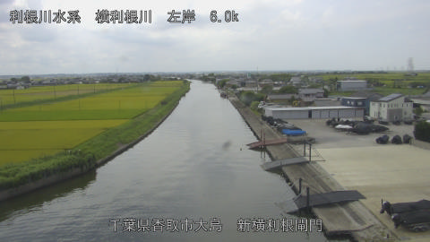 yoko2026082112_image