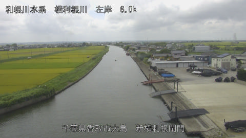 yoko2026082312_image