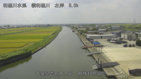 yoko2026082412_image