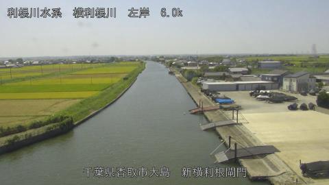 yoko2026082512_image