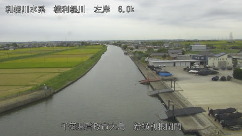 yoko2026082712_image
