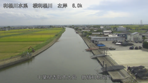 yoko2026082815_image