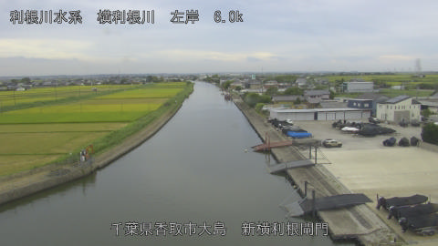 yoko2026082816_image