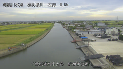 yoko2026082817_image