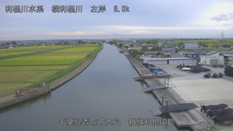 yoko2026082818_image