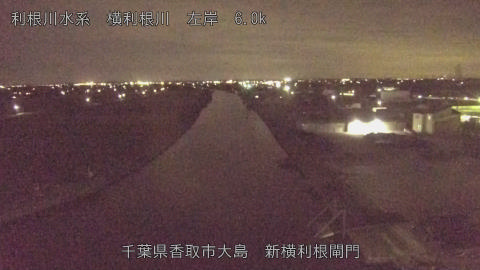 yoko2026082821_image