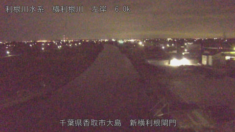 yoko2026082901_image