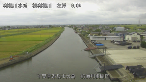 yoko2026082909_image
