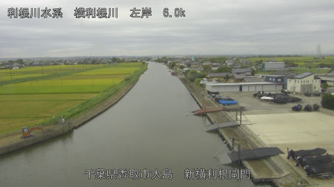yoko2026082910_image