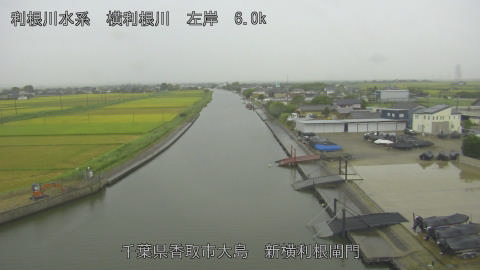 yoko2026082911_image