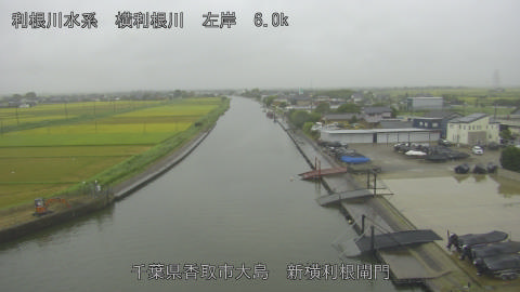 yoko2026082916_image