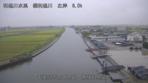 yoko2026082918_image