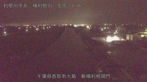 yoko2026083001_image
