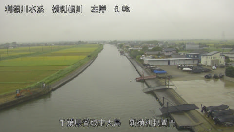 yoko2026083007_image