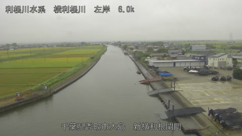 yoko2026083008_image