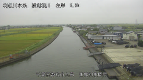 yoko2026083009_image