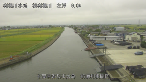 yoko2026083011_image