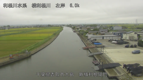 yoko2026083012_image