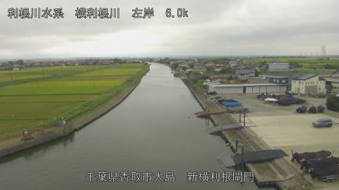 yoko2026083013_image