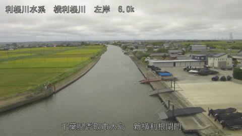 yoko2026083112_image