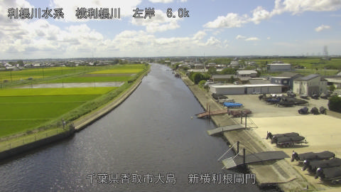 yoko2026091412_image