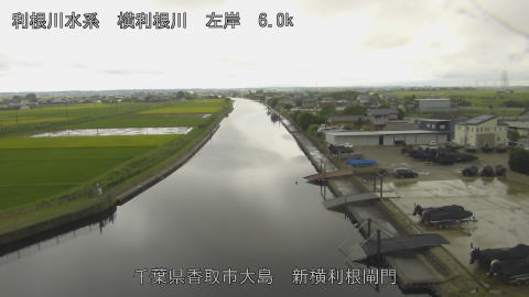 yoko2026091512_image