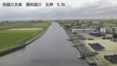 yoko2026091712_image