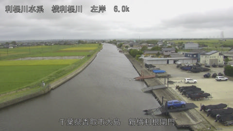 yoko2026091812_image