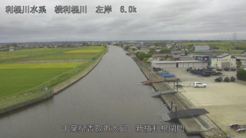 yoko2026091912_image