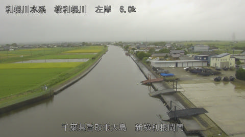 yoko2026092112_image