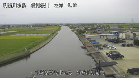 yoko2026092312_image