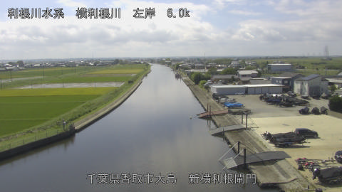 yoko2026092412_image