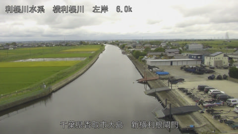 yoko2026092712_image