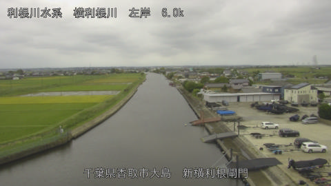 yoko2026093012_image