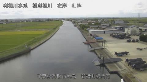 yoko2026100412_image