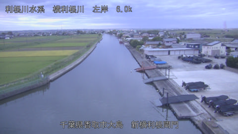 yoko2026100706_image