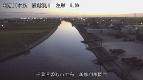 yoko2026100718_image
