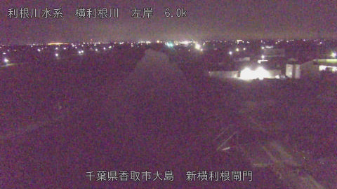 yoko2026100901_image