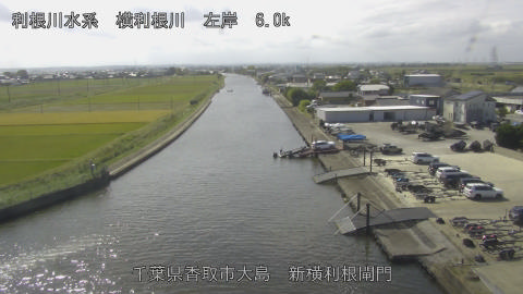 yoko2026101312_image