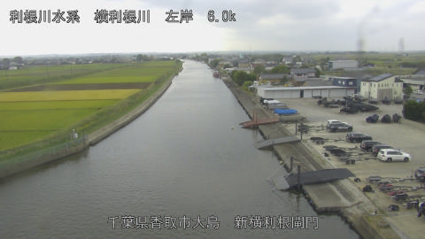 yoko2026101412_image