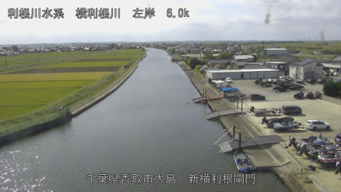 yoko2026101512_image