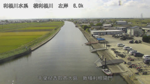 yoko2026101612_image