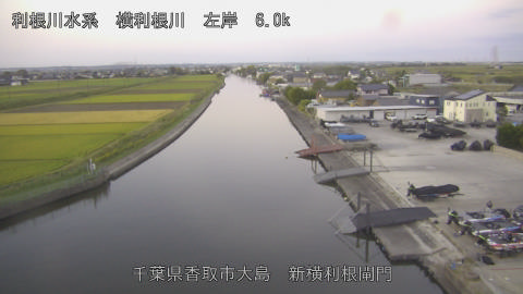 yoko2026101706_image