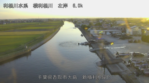 yoko2026101717_image
