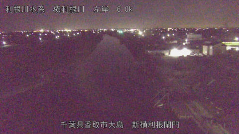 yoko2026101722_image