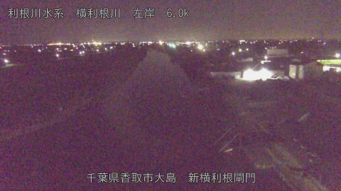 yoko2026101723_image