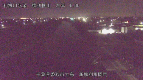 yoko2026101801_image