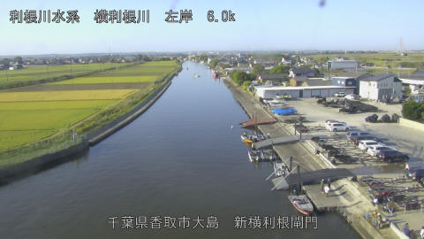 yoko2026101808_image