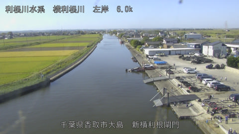 yoko2026101809_image