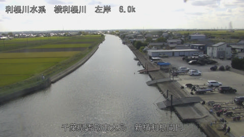 yoko2026101813_image